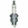 Cheap 😉 Champion J12YC 10 Spark Plug 😀