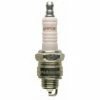 Flash Sale 👍 Champion RJ18YC6 63CC Spark Plug 😉