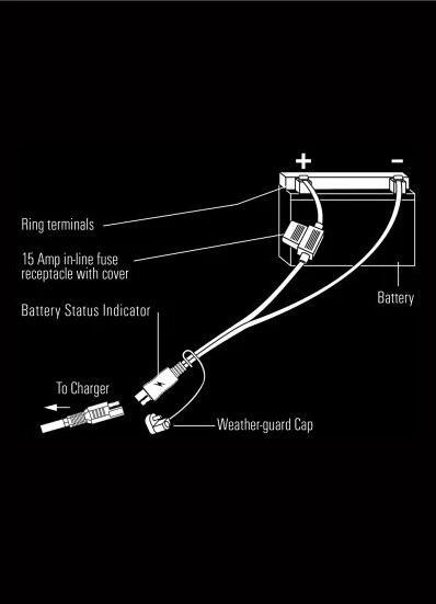 Best Pirce β€οΈ Schumacher 12V Battery Indicator Cable π 4 Best Pirce β€οΈ Schumacher 12V Battery Indicator Cable π - Image 4